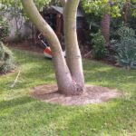 0755caf1-c93d-47a3-849c-5a7ebcb1de91